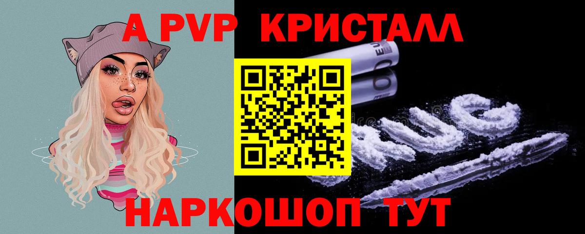 APVP СК Североморск