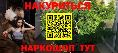 индика Ирбит
