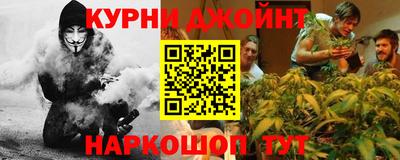 индика Ирбит