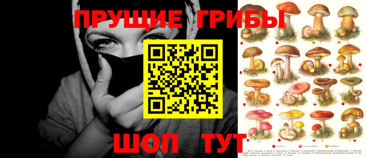 Галлюциногенные грибы Magic Shrooms Североморск