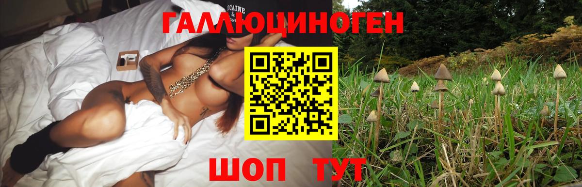 Североморск  Галлюциногенные грибы мухоморы  Вход с VPN 